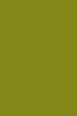 Colorante Verde Olivo