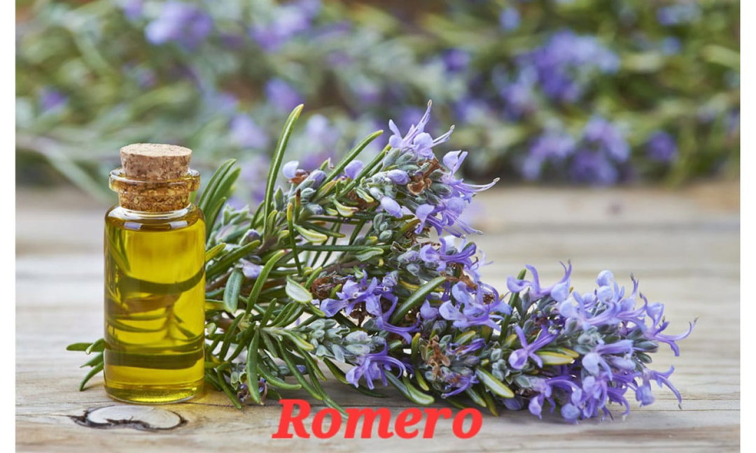 Fragancia Romero