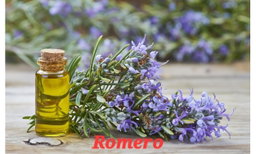 Fragancia Romero