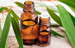 Aceite Esencial Eucalipto 10ml