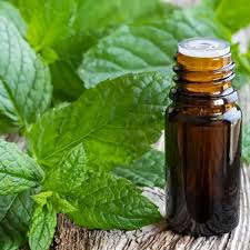 Aceite Esencial Hierbabuena