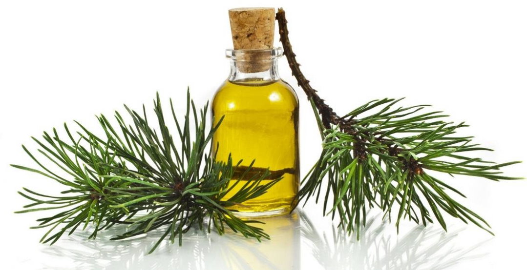 Aceite Esencial de Pino