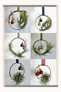 Air Plant Xmas Wreath