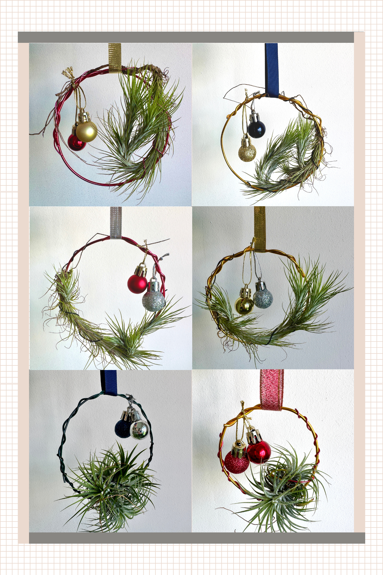 Air Plant Xmas Wreath