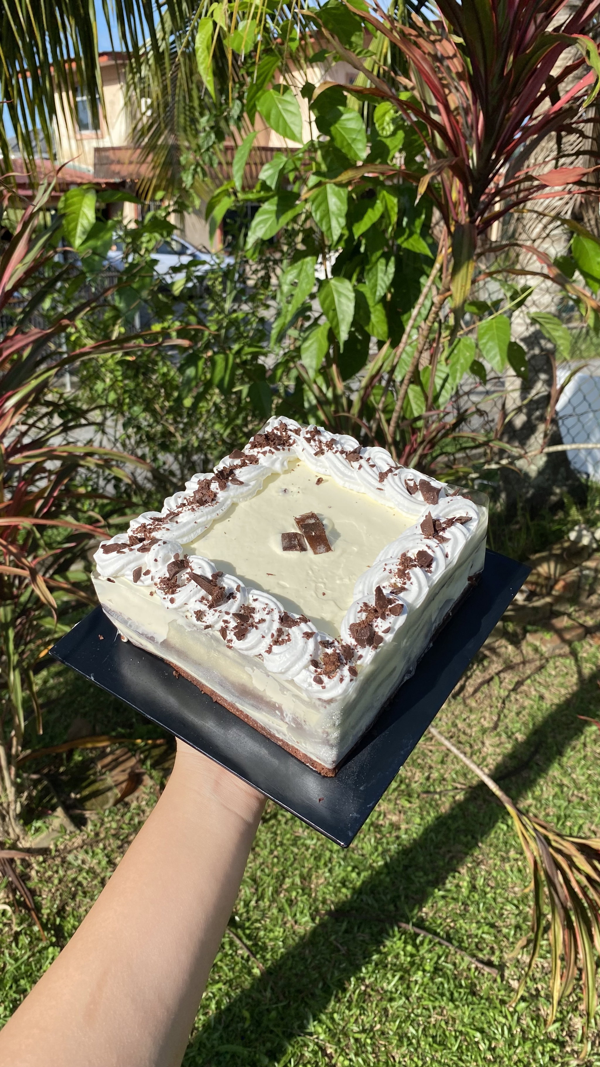 Square Chocolate with Coffee Jelly Cake_0
