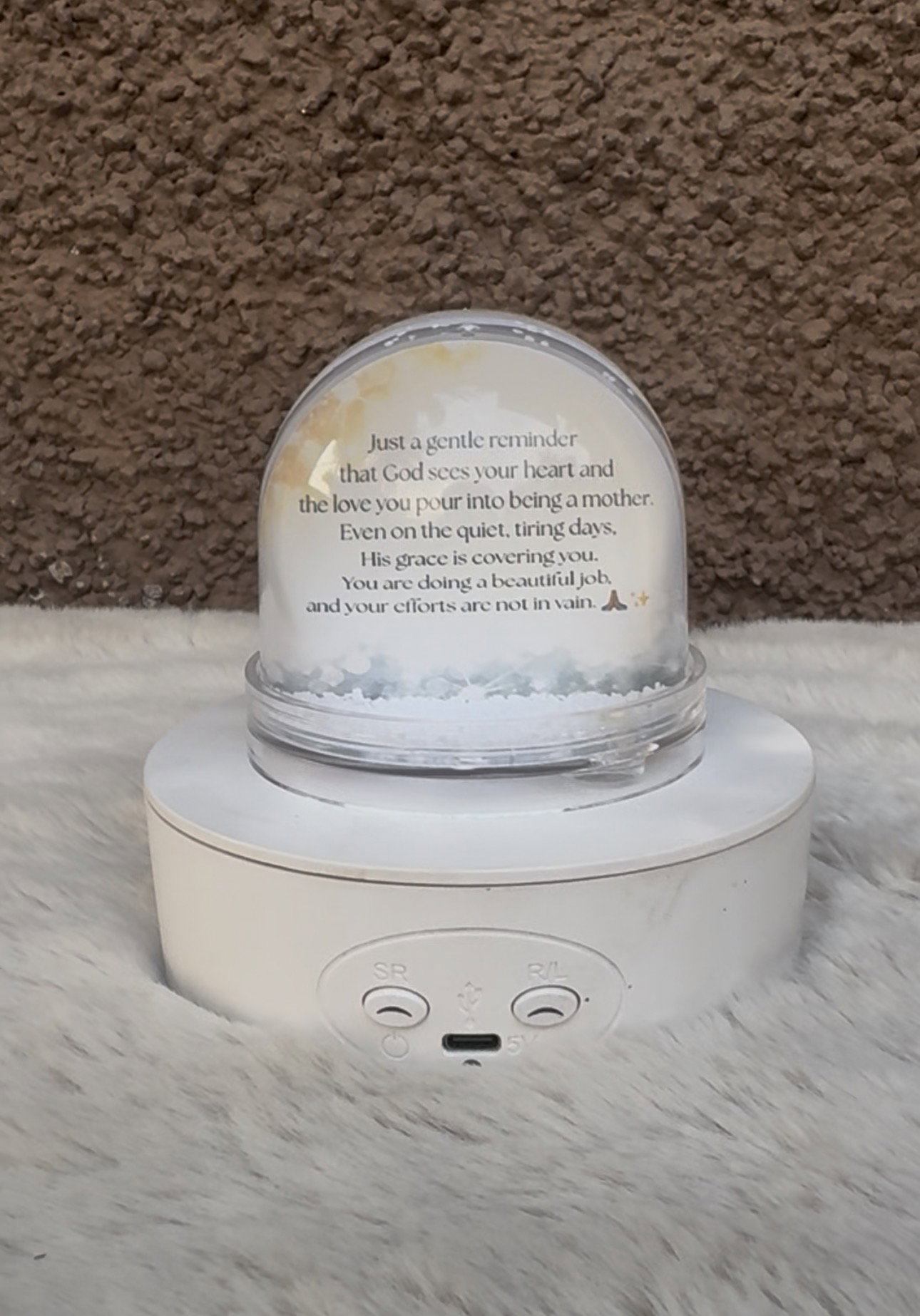 Snow Globe_1