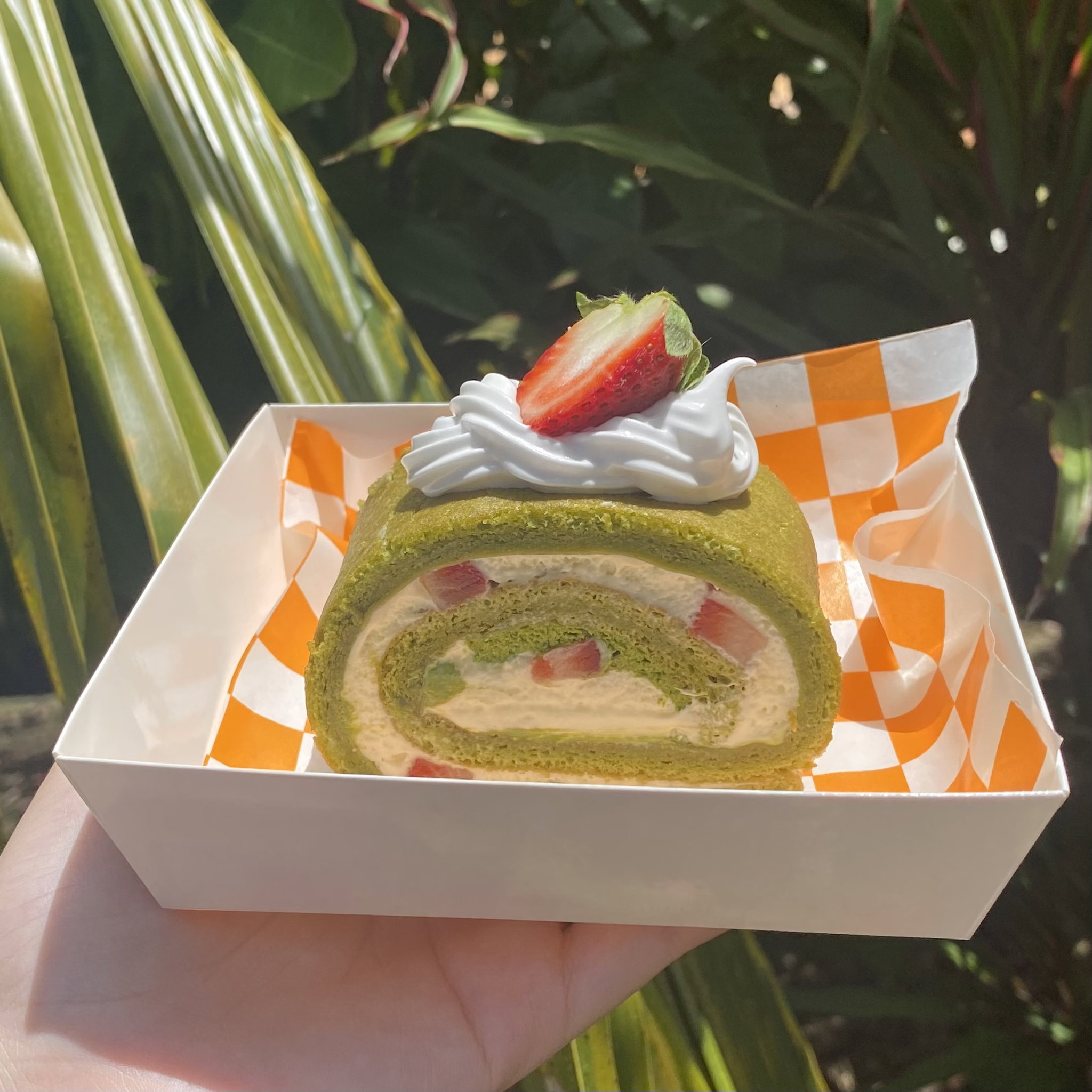 Matcha Cake Roll with Strawberries_1