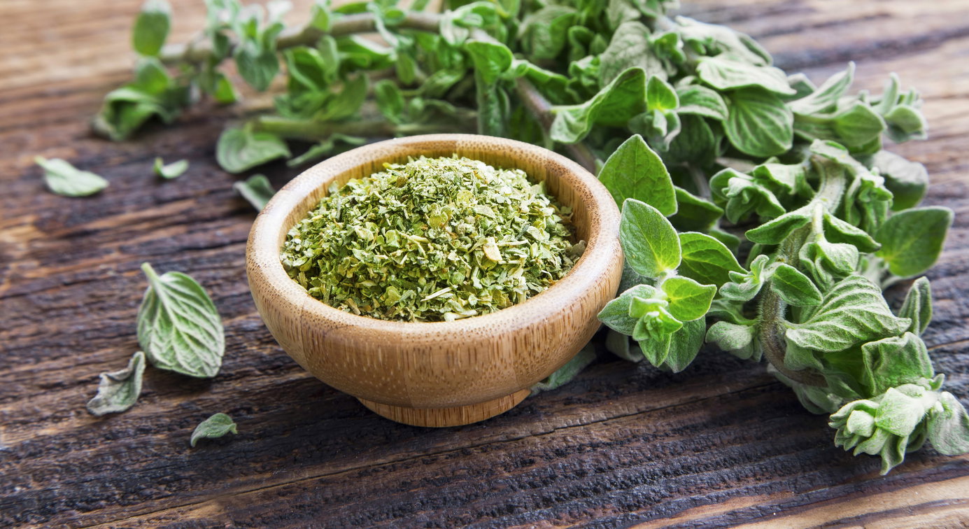 Oregano ໂອຣີກາໂນ່_2