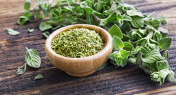 Oregano ໂອຣີກາໂນ່