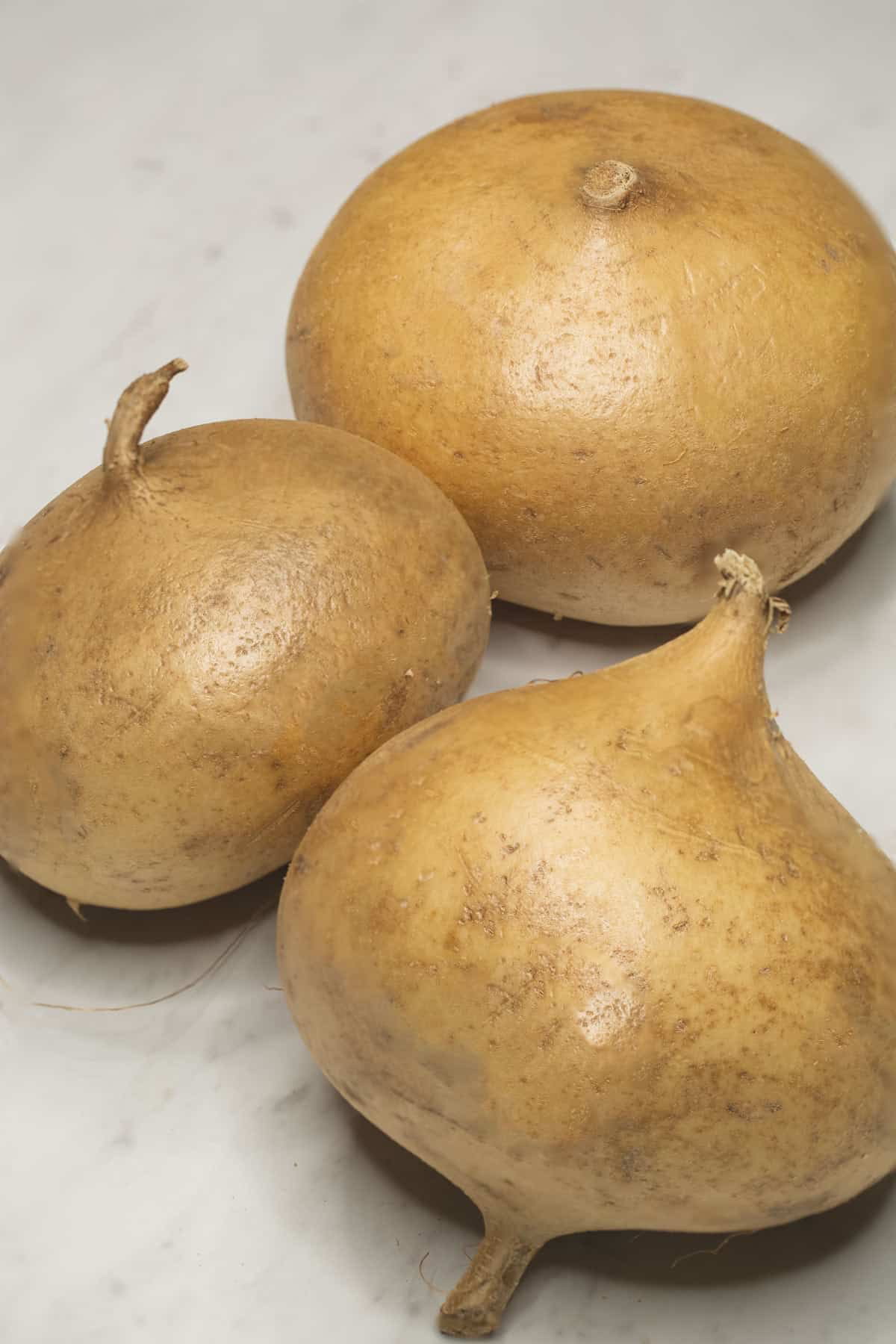 Jicama_1