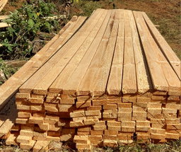 Pine Lumber (Roofing Timber)