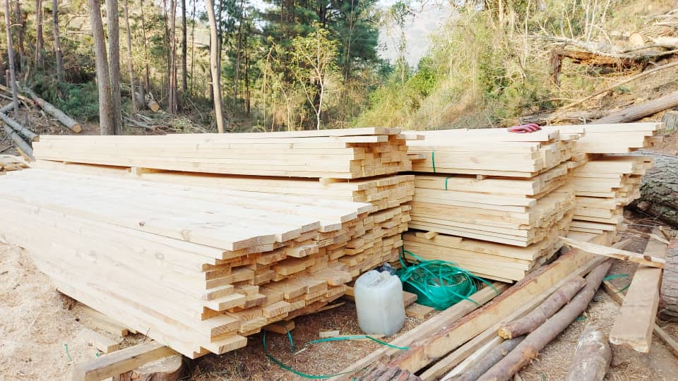 38 x 152 (Rafters)