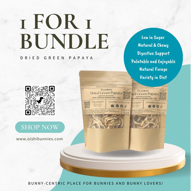 1 For 1 Special Bundle! Dried Green Papaya for Rabbits & Small Animals (35gms + 35gms)_0