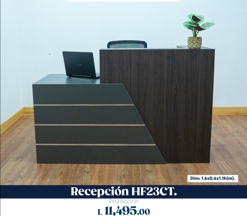 Recepción 