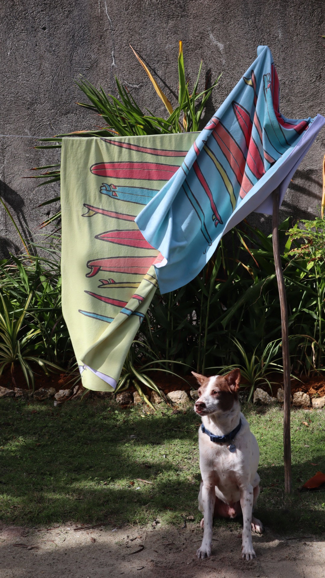 Surf with Choy Towel_0