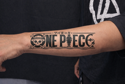¡¡¡One piece!!!