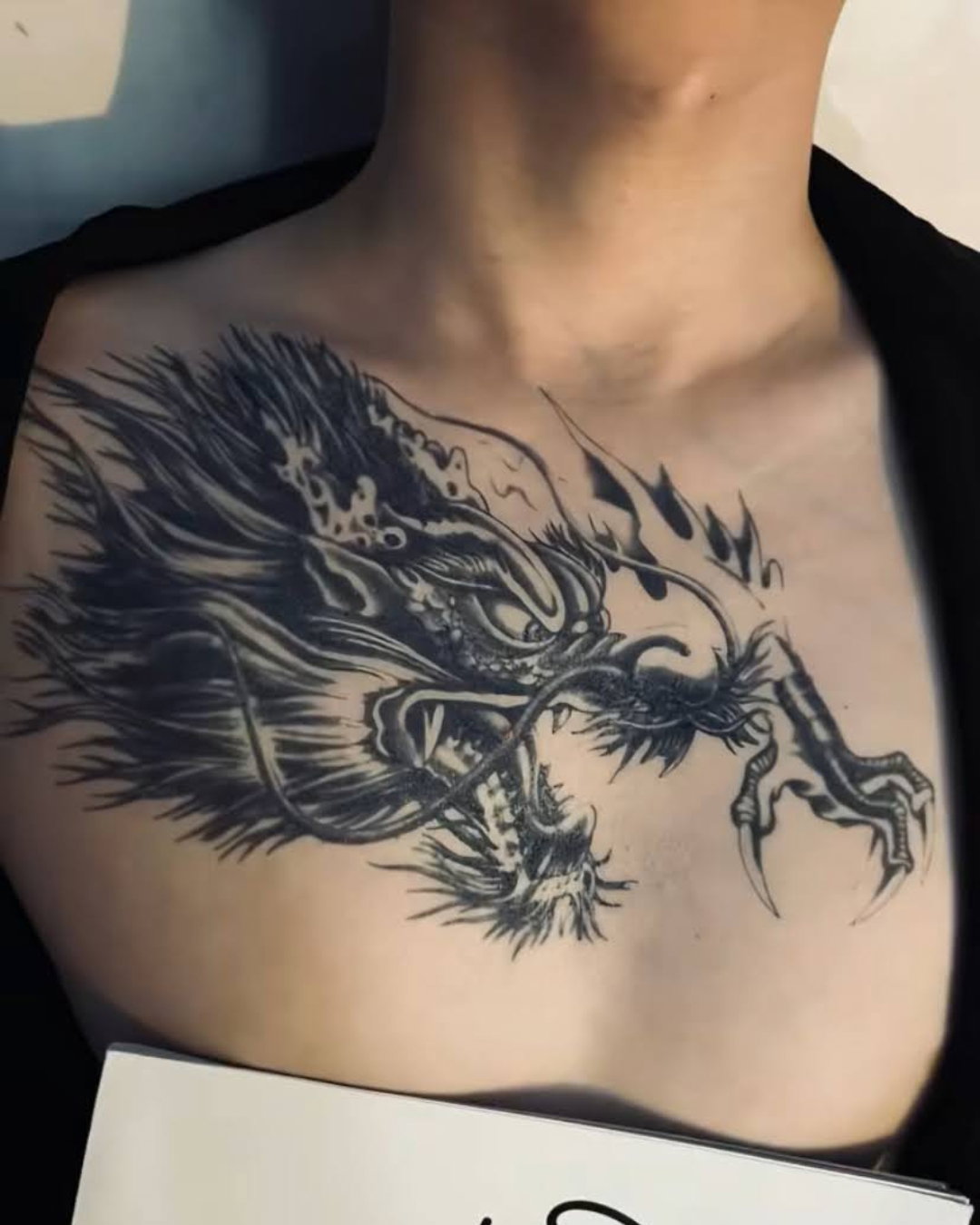 Pecho de Dragon_1
