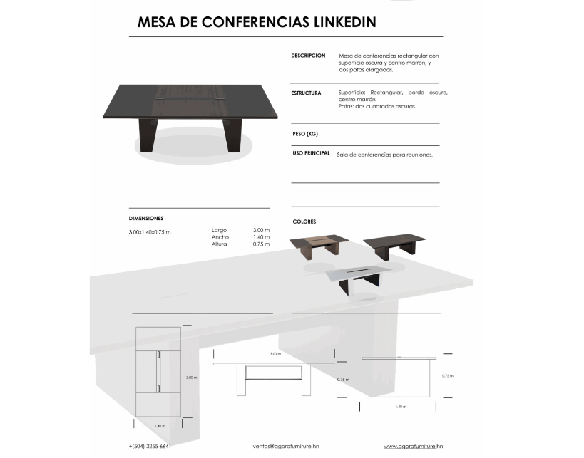Mesa Conferencia