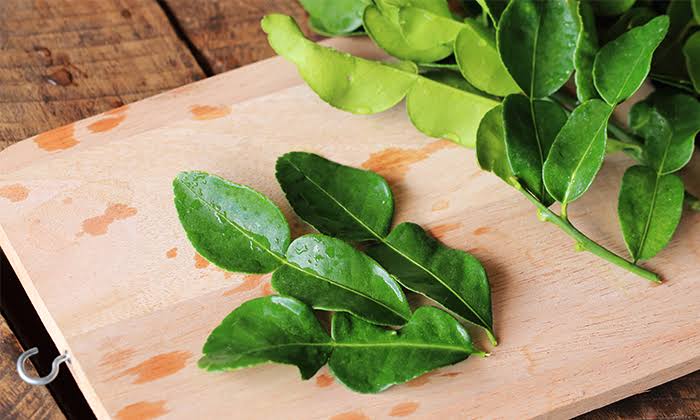 Kefir Lime Leaves ໃບຂີ້ຫູດ
