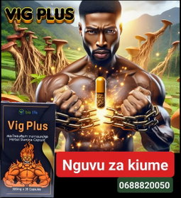 VIG PLUS CAPSULES 