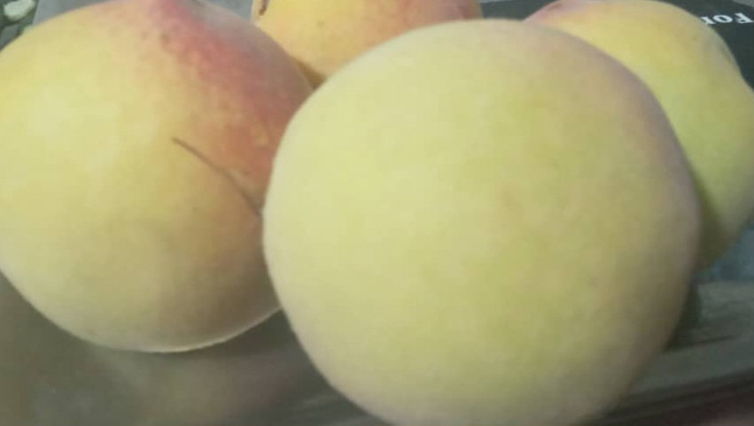 Peaches_0