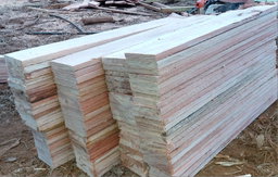 38 x 130 (Saligna Planks)