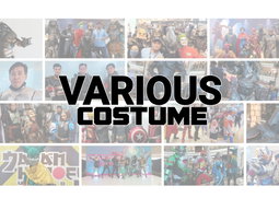 VARIOUS COSTUME
