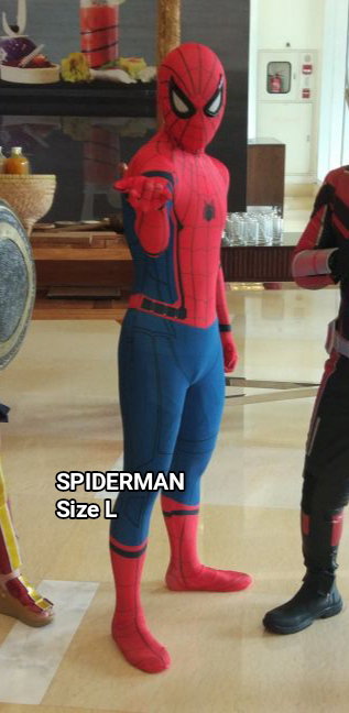 SPIDERMAN_0