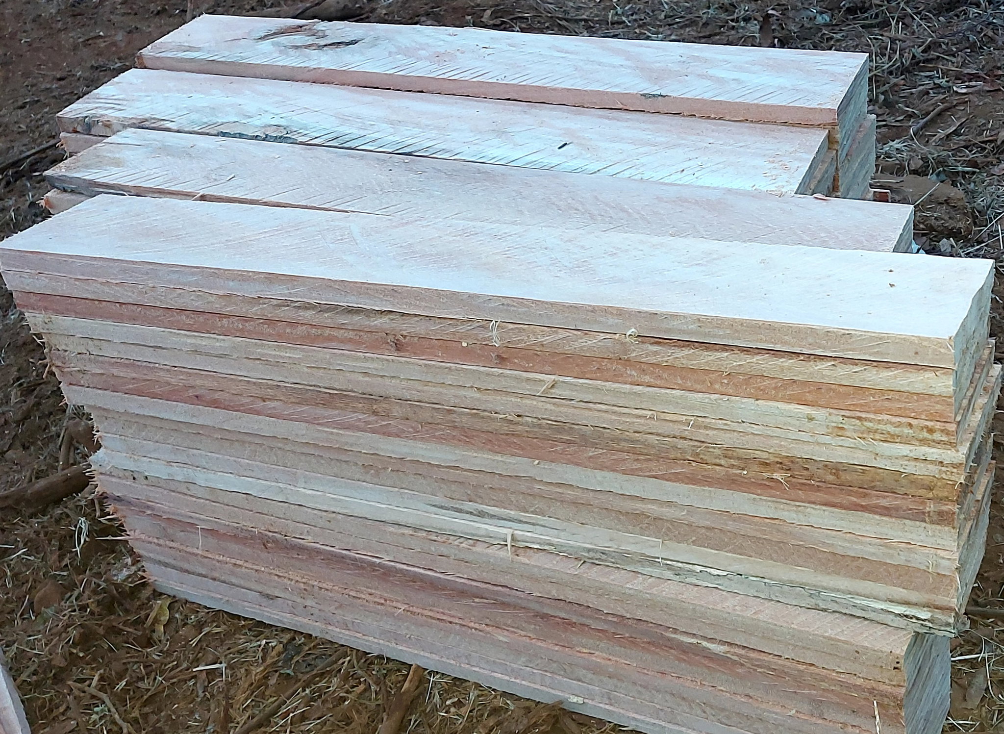 40 x 110 (Saligna Planks)_0