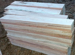 40 x 110 (Saligna Planks)