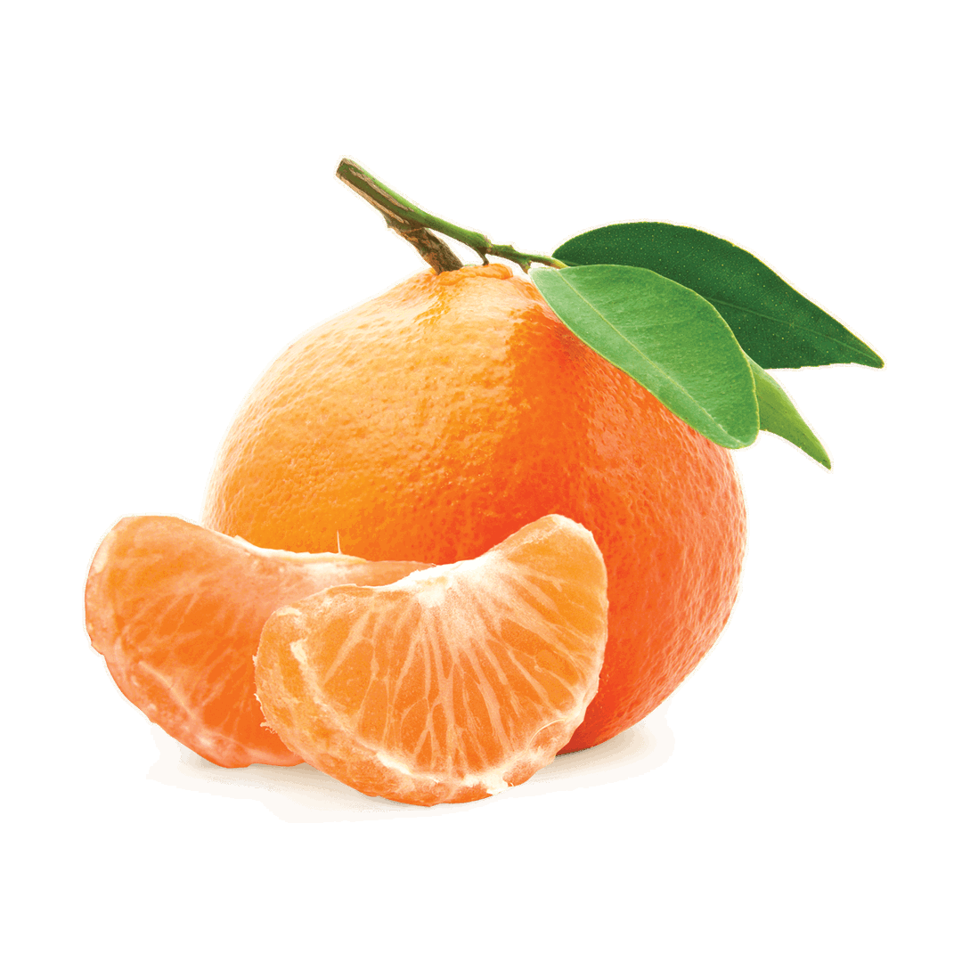 Tangerine 🍊