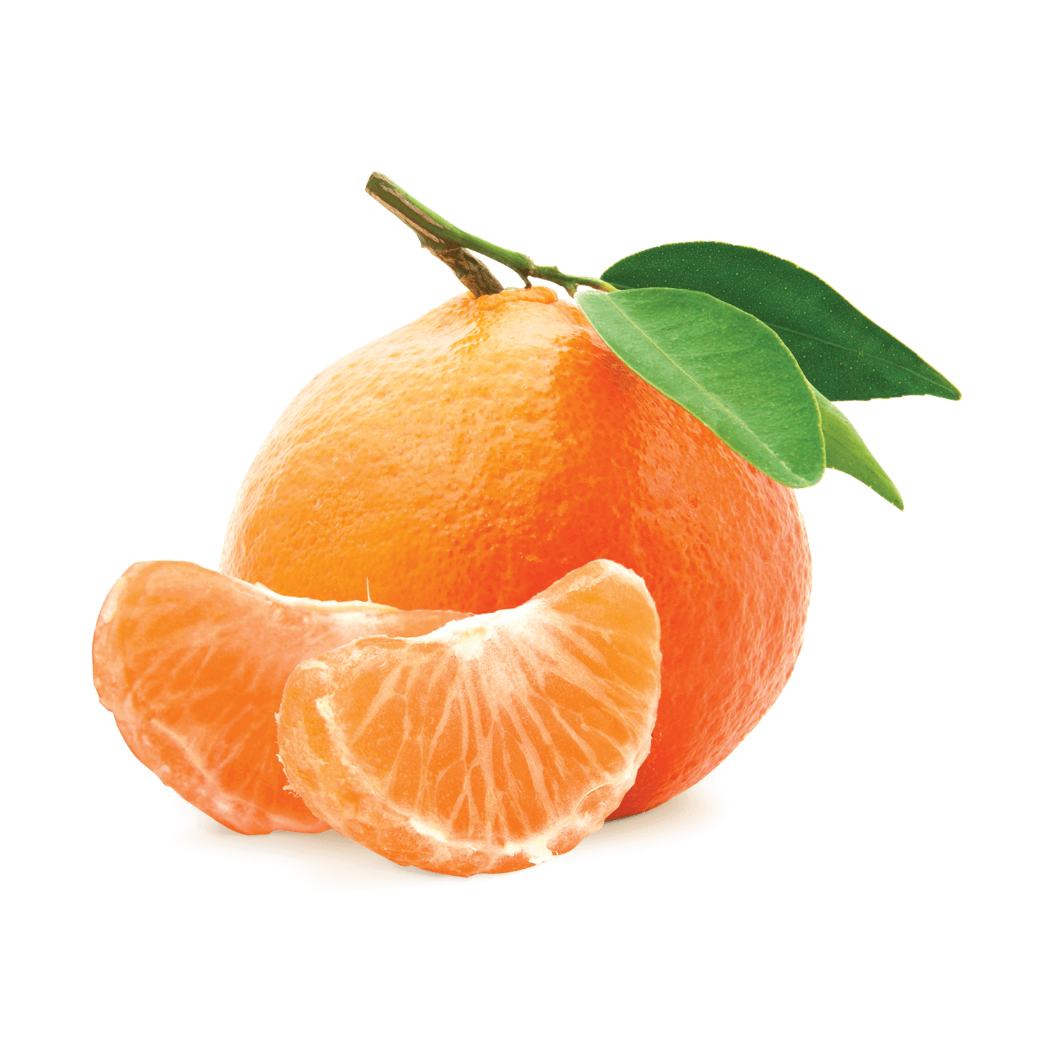 Tangerine 🍊 _0