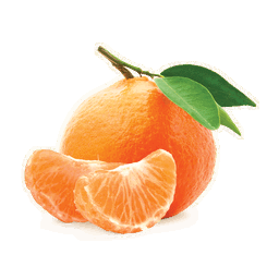 Tangerine 🍊 
