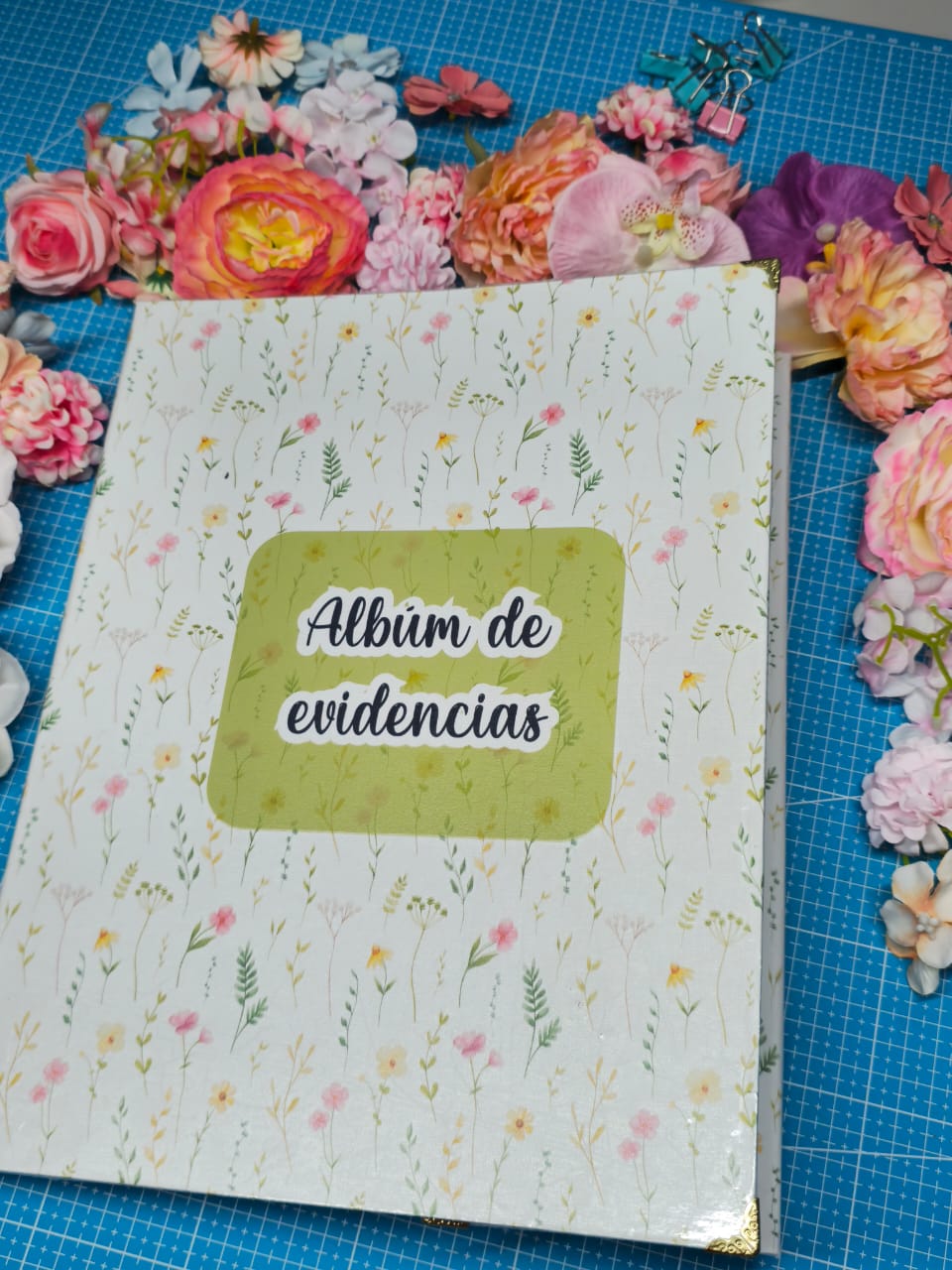 Album de evidencias_0