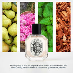 Jabel 50ml