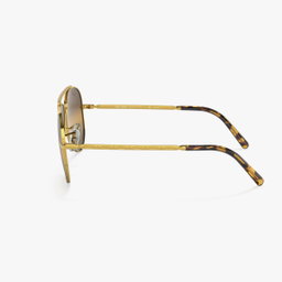 Ray-Ban RB3625 New Aviator