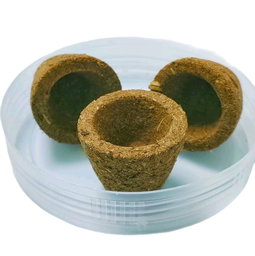 GMS Premium Varati Cup Sambrani 30pcs