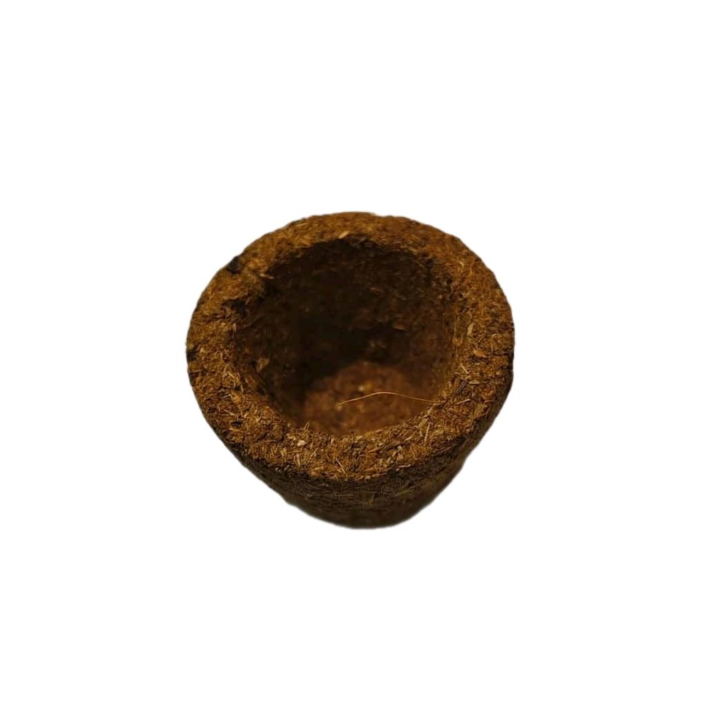 GMS Premium Varati Cup Sambrani 30pcs_3