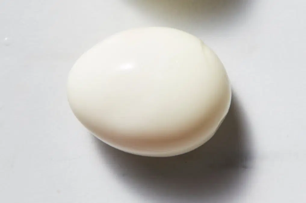 Egg_0