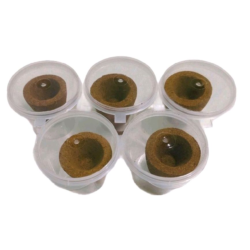 GMS 216 Pure Siddha Mooligai Cup Sambrani Upgraded Size_6