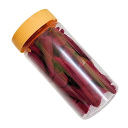 GMS Everyone's Favorite Rose Punugu Cone
