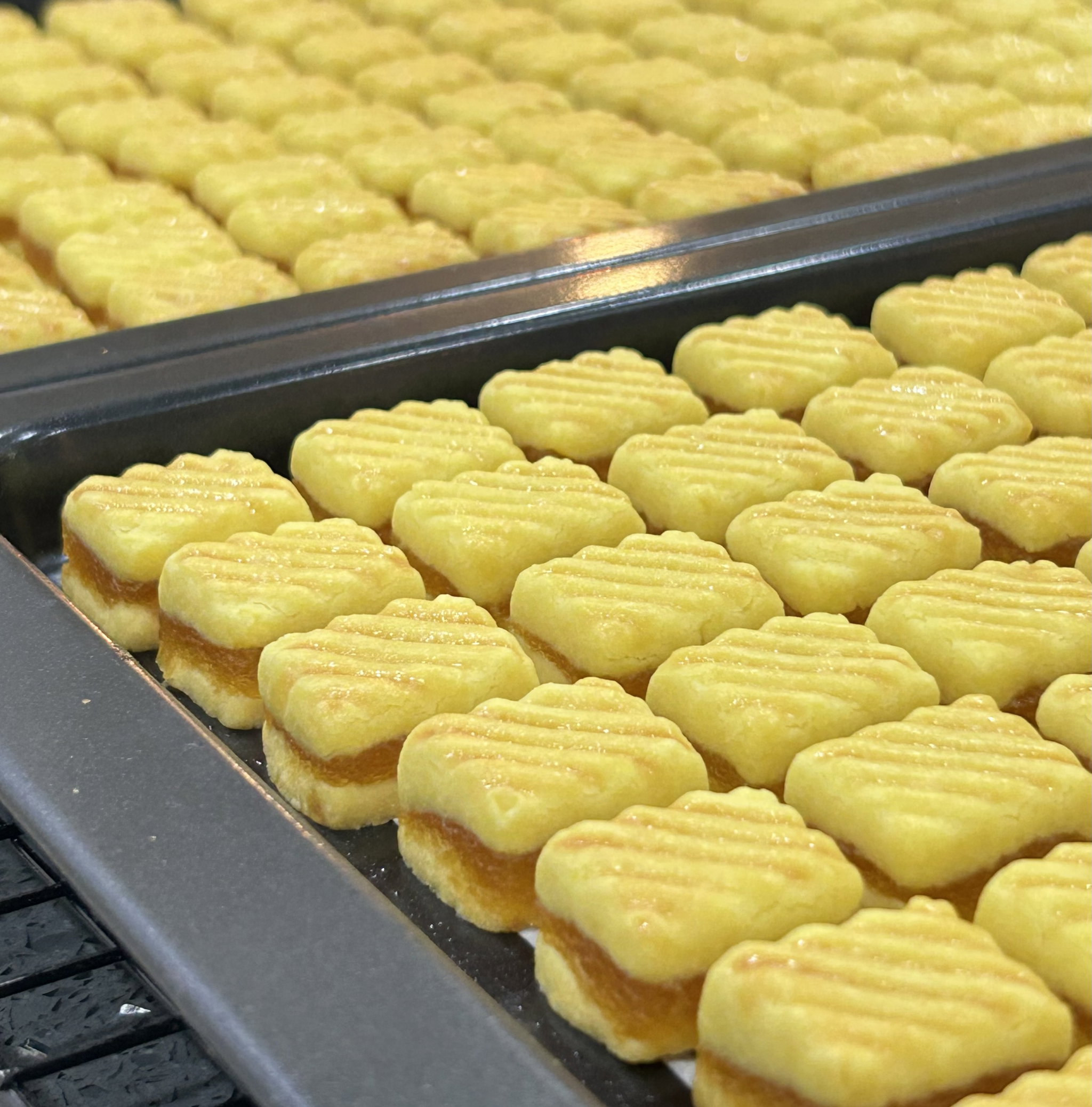 Pineapple Tarts (cube)_0
