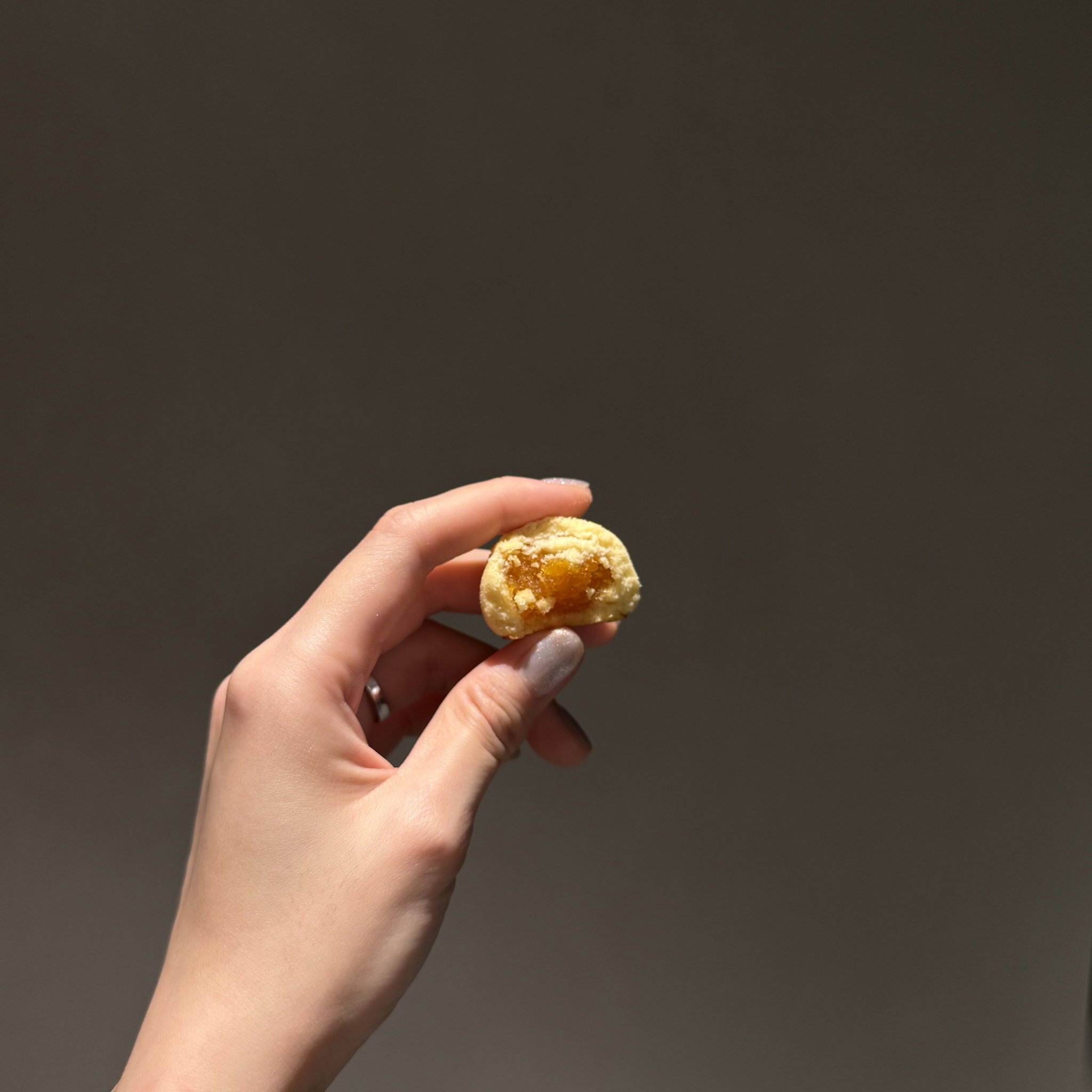 Pineapple Tart_3