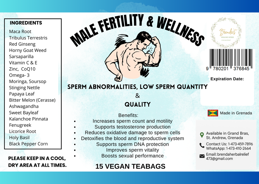 Male Fertility Wellness – Semen Abnormalities