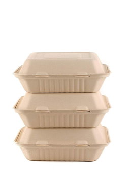Disposable Takeaway