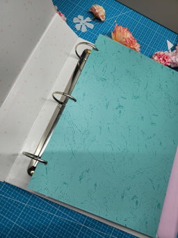 Porrafolio Docente Premium