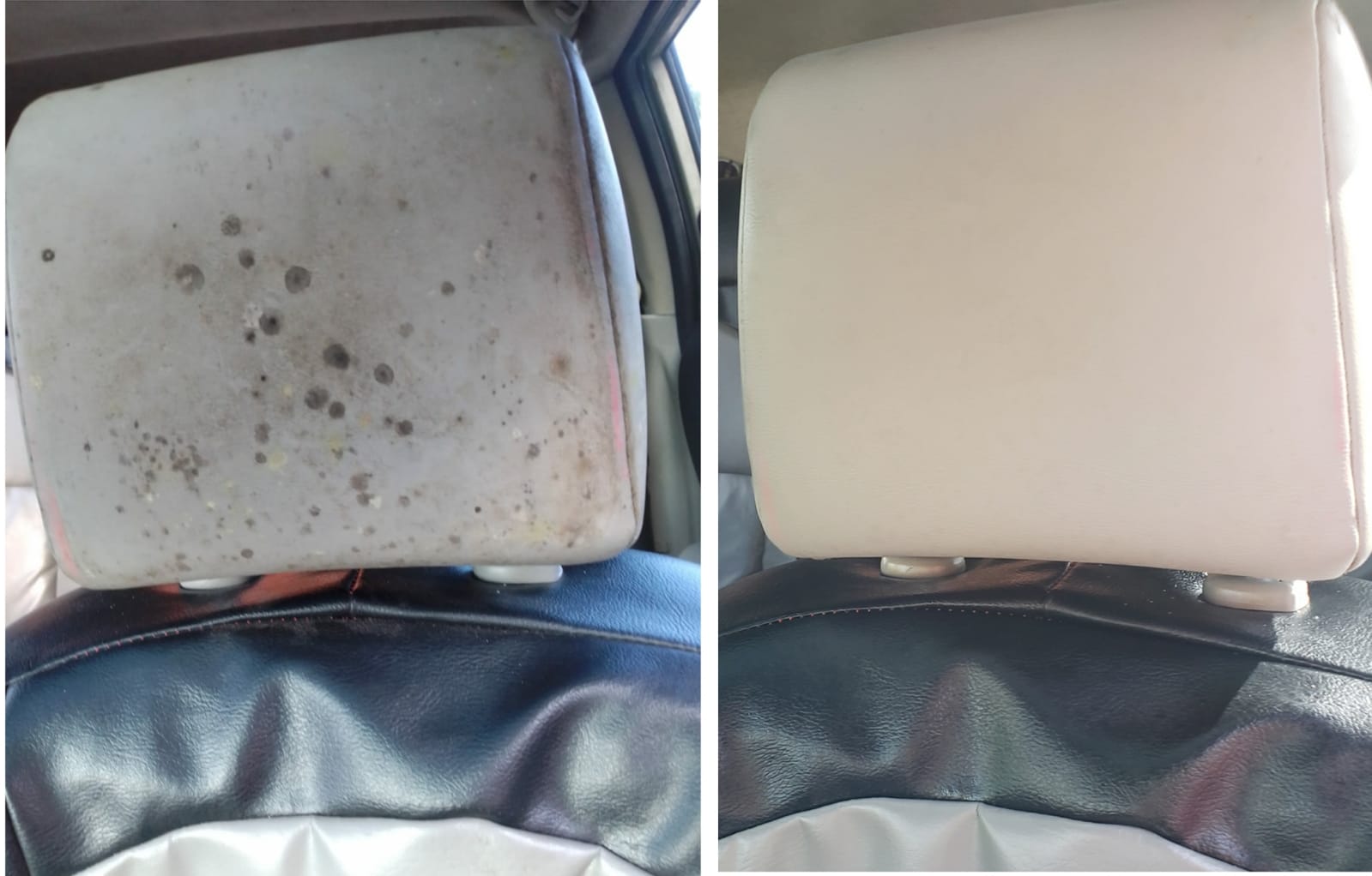 We clean leather too!_0