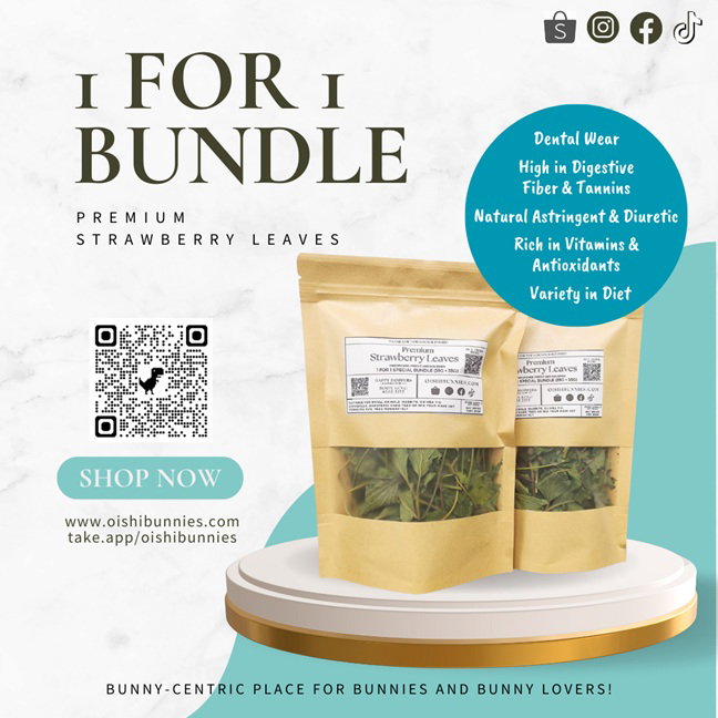 1 For 1 Bundle & Value Pack! Premium Strawberry Leaves For Rabbits & Small Animals (35g + 35g & 140g) _0