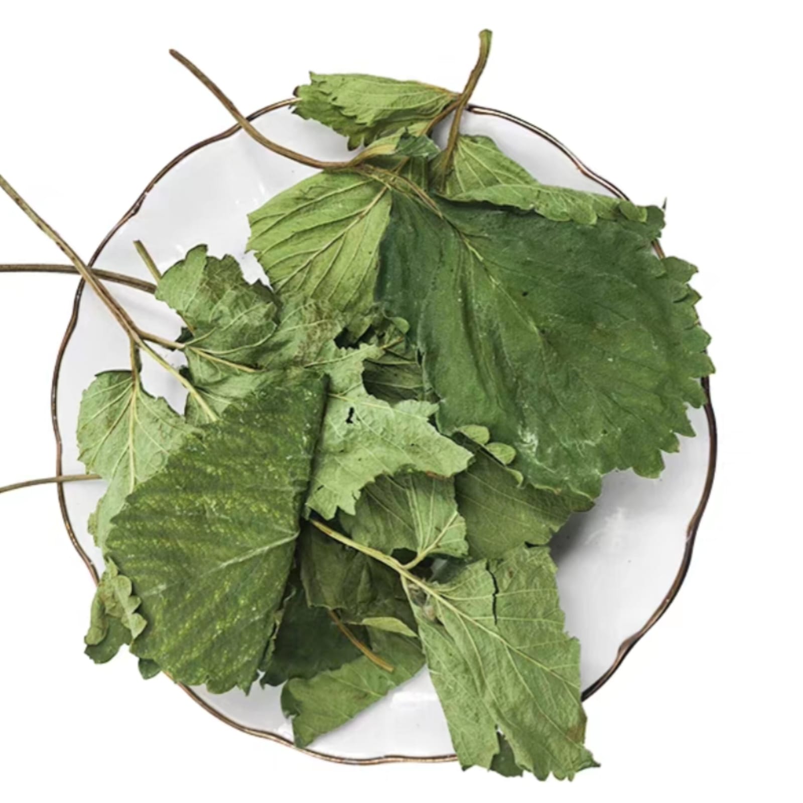 1 For 1 Bundle & Value Pack! Premium Strawberry Leaves For Rabbits & Small Animals (35g + 35g & 140g) _3