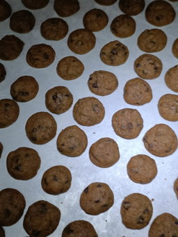 Chocolate Chips